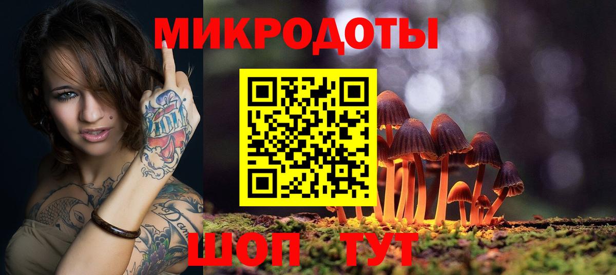 Великий Новгород  Галлюциногенные грибы прущие грибы  Вход с VPN 
